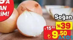 SOĞAN KG SOĞAN KG